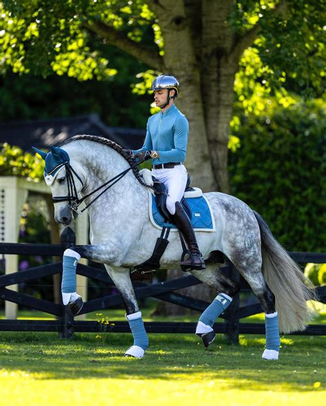 Matt Harnacke Equestrian Stockholm