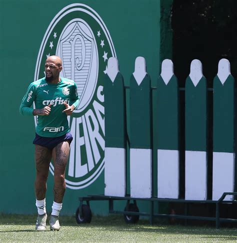 Palmeiras Se Reapresenta Veja Fotos Ric Br