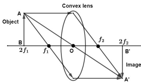 Draw A Ray Diagram Showing The Image Formation By A Convex Lens When An