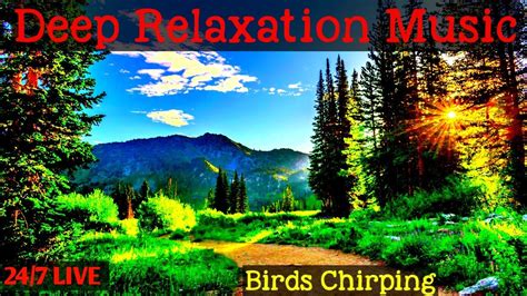 Deep Relaxation Music Hours Live Stream Meditation Music Calm