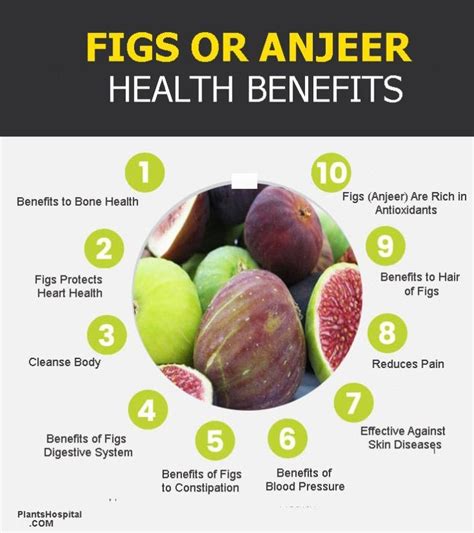 Figs Anjeer Wonderful Health Benefits Risks And Nutrition Facts