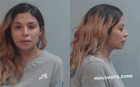 Gonzalez Avelina Louise Hidalgo County Mugshots Zone