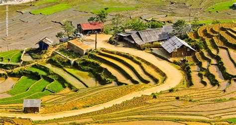 Rice Terraces In Sapa Photo Tour Vietnam Travel