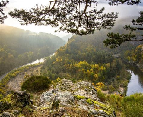 GR3 Source Et Gorges De La Loire Sucs Loire Tourisme