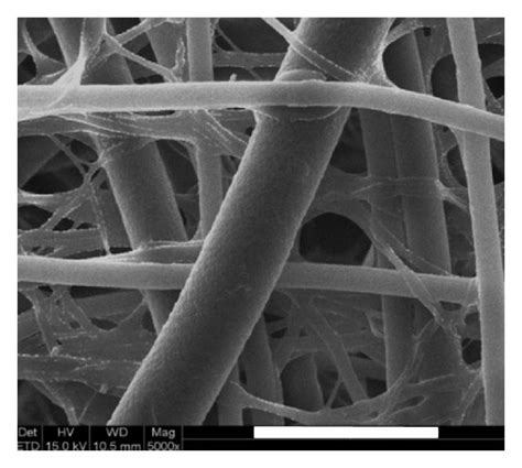 Structure Characterization Of Electrospun Pcl Gel Scaffolds Sem Images