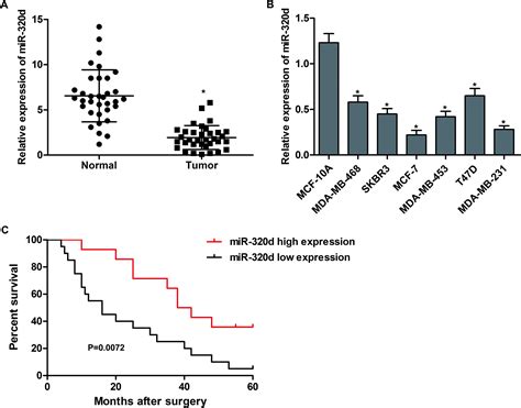 Mir D Suppresses The Progression Of Breast Cancer Via Lncrna Hnf A