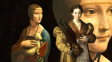 zibellino | nlc