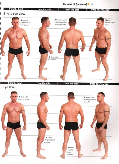 Pin By Stevanio Bogle On Body Goals To Be A Beefy Man Human Anatomy