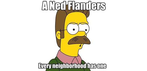 Ned Flanders Meme Face