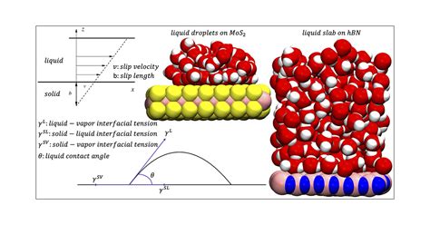 Experimental And Theoretical Insights Into Interfacial Properties Of 2D