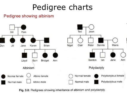 Pedigree - Biology