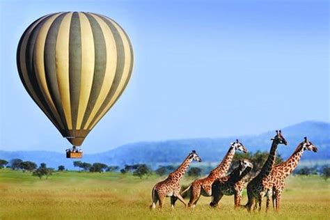 3 Days Maasai Mara Budget Safari From Nairobi In Nairobi Kenya Trip