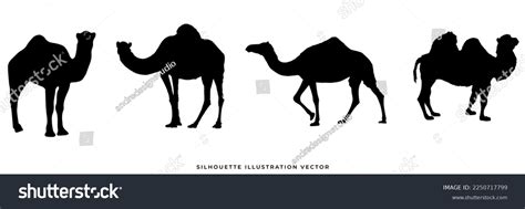 Wild Animals Silhouettes Vector Illustration Isolated Stock Vector ...