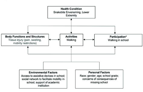 Case Example Application To International Classification Of