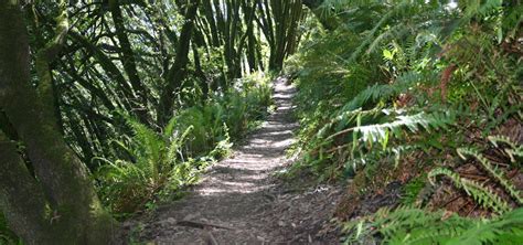 The Bay's Best Trails and Hikes