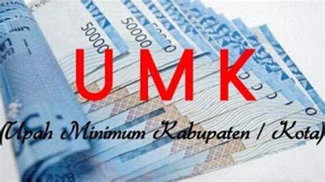 Penetapan UMK 2025 Disnakertrans Mesuji Tunggu Persetujuan Gubernur