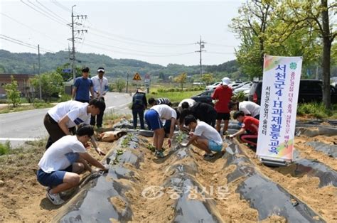 서천군농업기술센터 학생 4 H회원 영농체험 통한 농심 함양