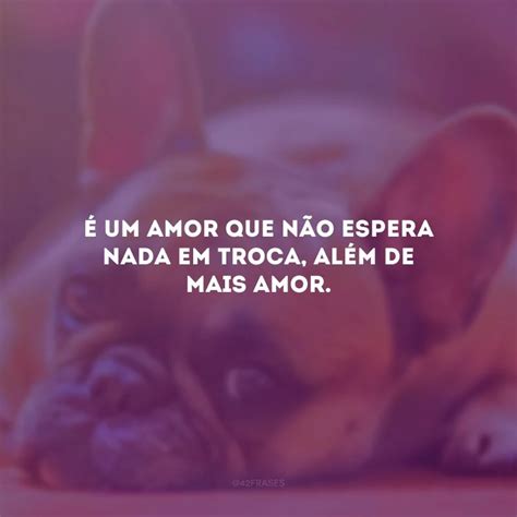 Frases De Amor Para Cachorro Que Enaltecem Seu C Opanheiro