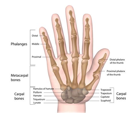 When is Wrist Pain Serious? CK Birla Hospital