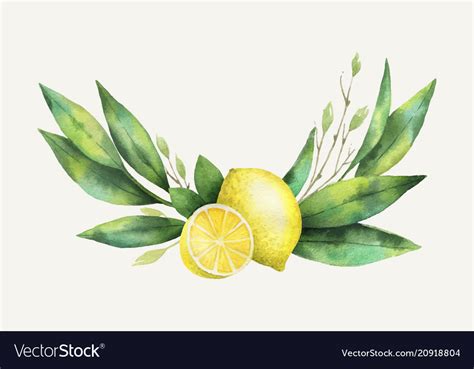 Watercolor Hand Drawn Wreath With Lemon And Vector Image