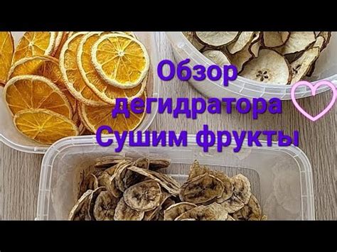Дегидратор... - YouTube