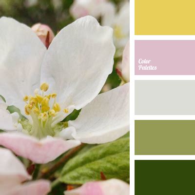 saffron color | Color Palette Ideas