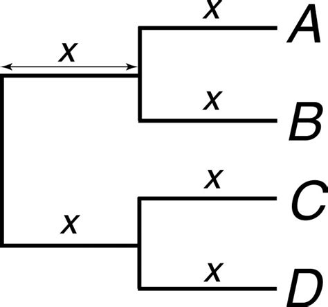 Tree topology used in the simulation of sequence data. The topology... | Download Scientific Diagram