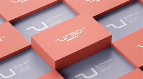 Розробка лого, фірмового стилю для компанії - кейс Ursa | True Ag