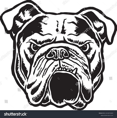 Hand Drawn Vector Image Angry Bulldogs Stock Vector Royalty Free