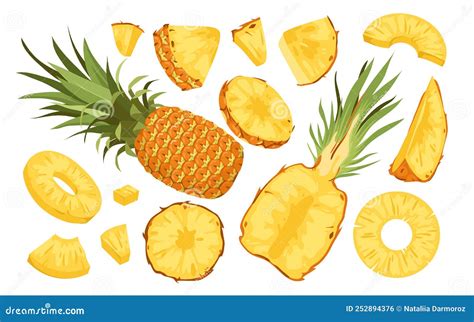 Wide Set Of Pineapple Fruit Stock Vector Illustration Of Cinnamon Food 252894376