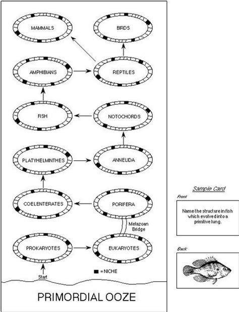 Evolution | Board Game | BoardGameGeek