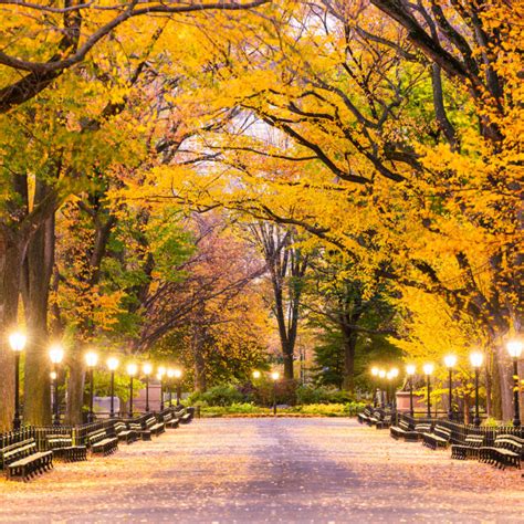 Underrated U S Destinations To See The Best Fall Foliage This Year