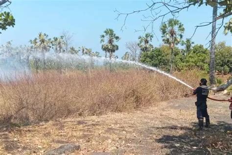 Panas Terik Hektaran Lahan Di Kubu Karangasem Hangus Terbakar