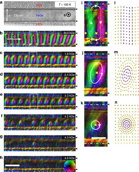 Variations Of Spin Texture With Magnetic Field In A 130 Nm FeGe