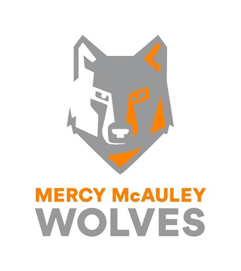 School Logo, Colors, Mascot and Tagline Unveiled for the new Mercy ...