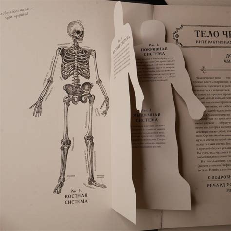 Книга: Тело человека. Интерактивная книга-панорама - Ричард Уолкер ...