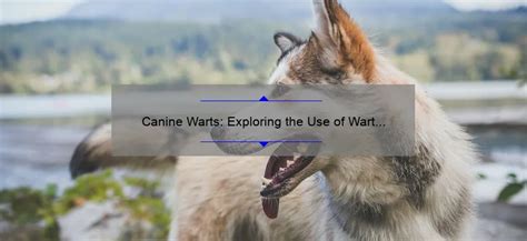 Canine Warts: Exploring the Use of Wart Remover on Dogs - Doghousefmb.com