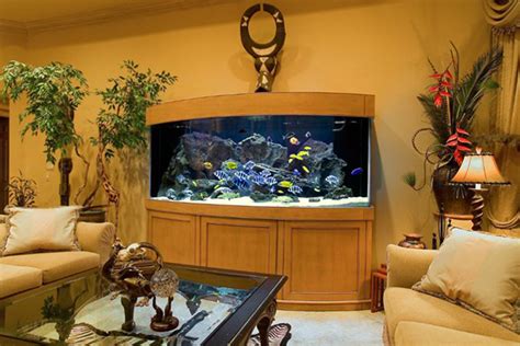 20 Modern Aquarium Design for Every Interior