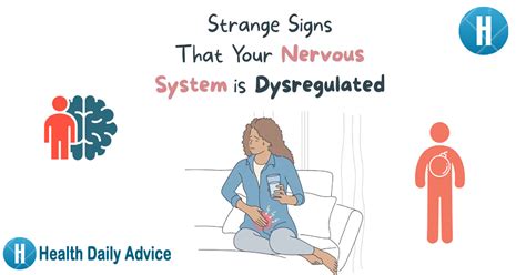 8 Signs of A Dysregulated Nervous System - Health Daily Advice