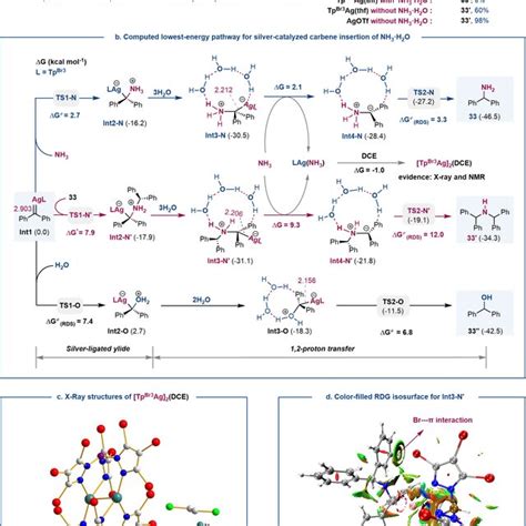 Experimental And Dft Computational Insights Into The Mechanism A