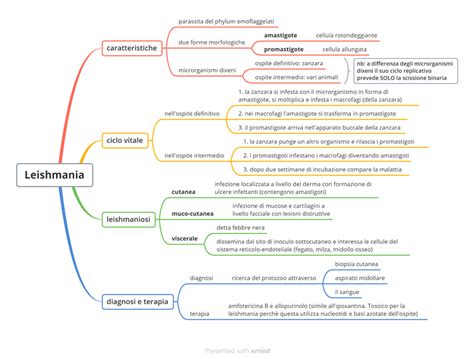 Mappe Di Microbiologia Batteri Virus Protozoi Funghi Med