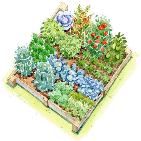 8 Vegetable Garden Plans to Bring Harvests to Your Yard