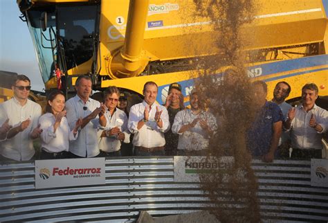 Abertura Da Colheita Do Arroz Medidas De Combate Estiagem Devem Ser