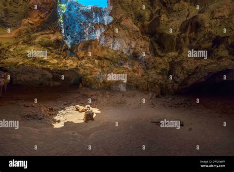 Interior View Of Quadirikiri Caves In Arubas National Park Featuring