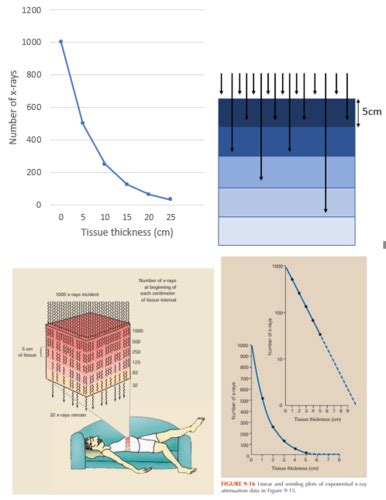 Week Selection Of Exposure Factors Flashcards Quizlet