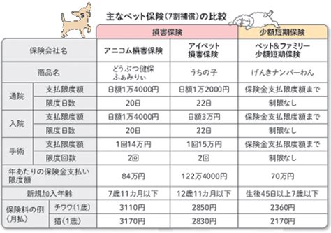 ペット保険、比べて賢く選ぼう 持病の有無などで判断を 犬・猫との幸せな暮らしのためのペット情報サイト「sippo」