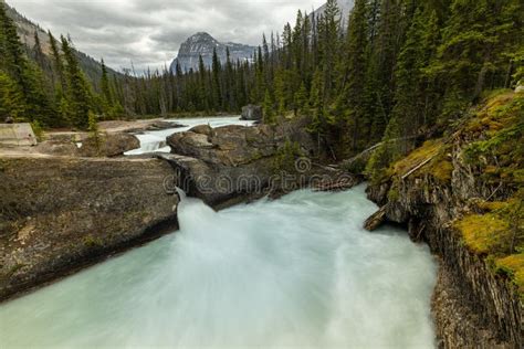 Kicking Horse River with Natural Bridge of Yoho National Park Stock ...