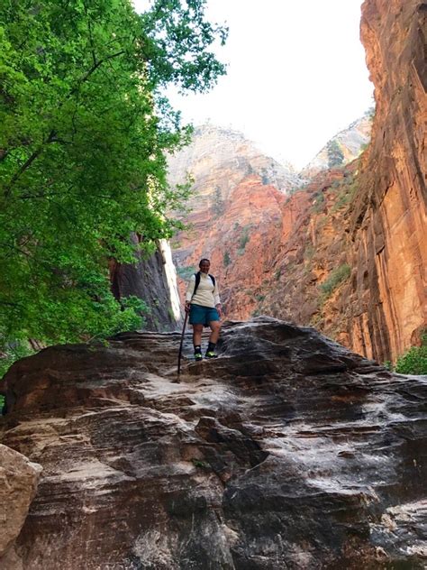 zion narrows hike - Daly Digs