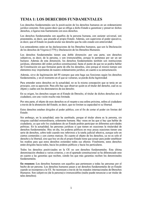 Tema 1 Derechos Fundamentales Tema 1 Los Derechos Fundamentales Los Derechos Fundamentales