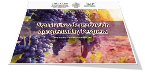 Expectativas de producción agropecuaria y pesquera diferentes aspectos